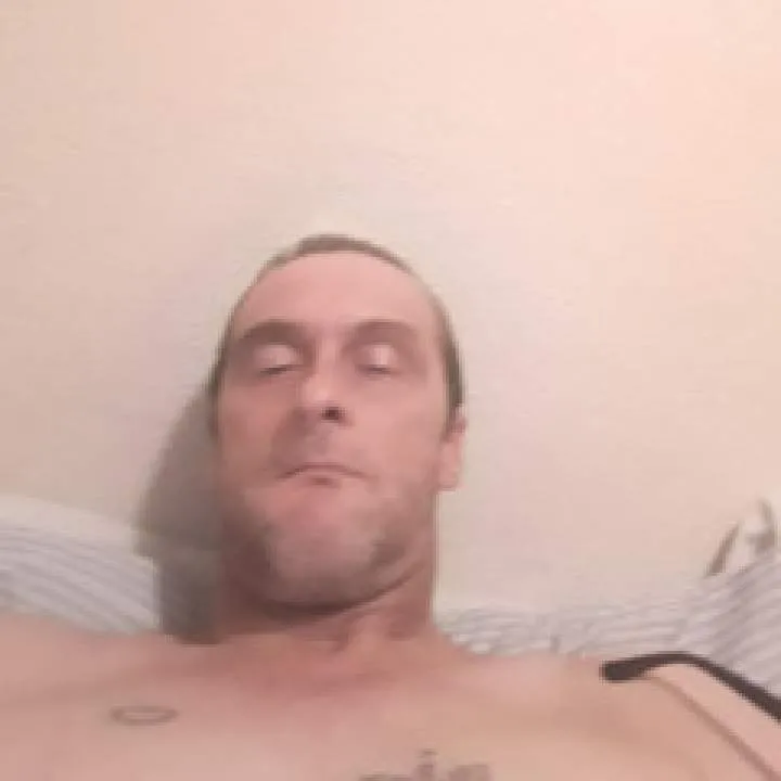 Vipertrav Photo On Jungo Live