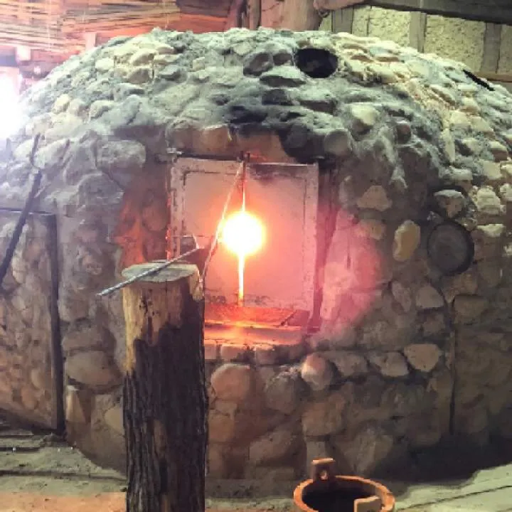 Ant Jack Photo On Jungo Live