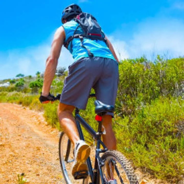 Cdobull Photo On Jungo Live