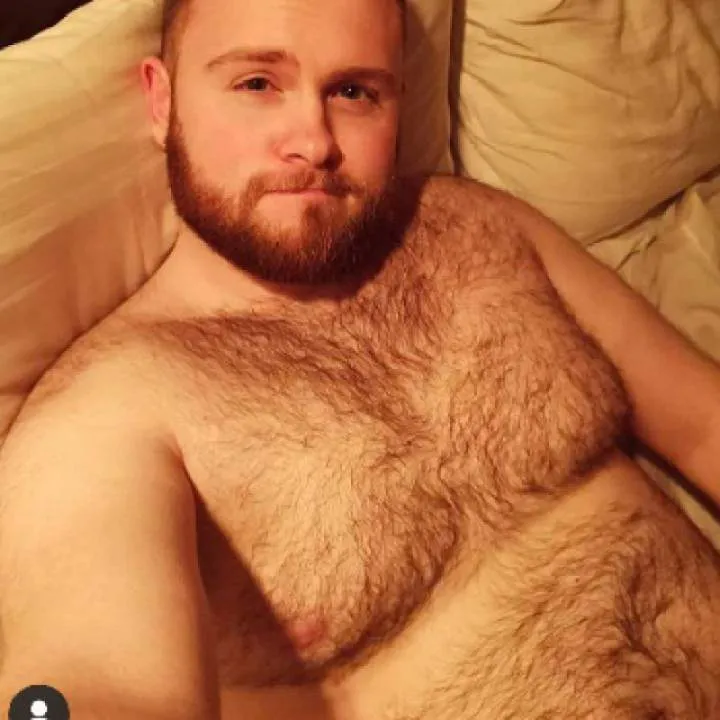 King Photo On Jungo Live