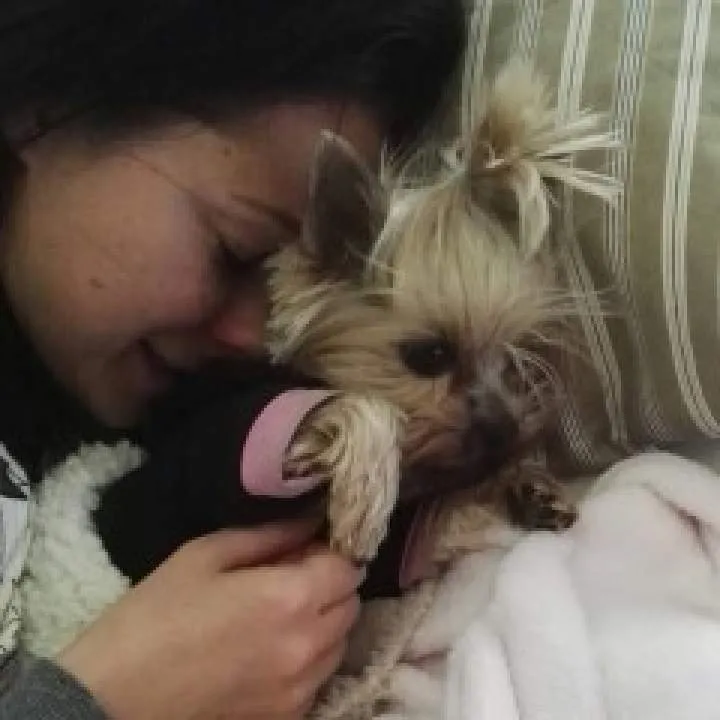 Viveso Photo On Jungo Live