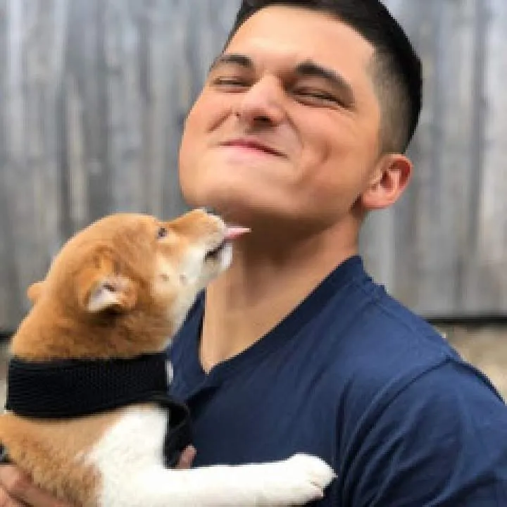 Snappy Photo On Jungo Live