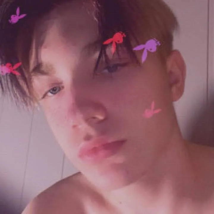 Kaas Photo On Jungo Live