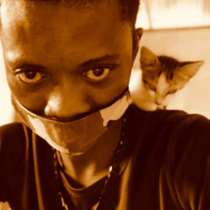 Vandamme Photo On Jungo Live