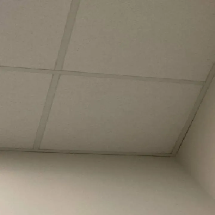 Evogizmo Photo On Jungo Live