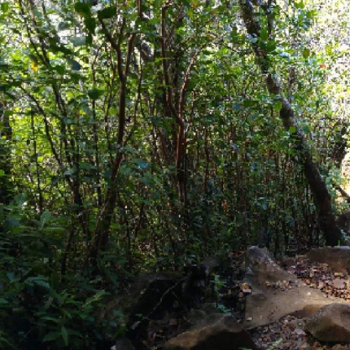 Fulbert10 Photo On Jungo Live