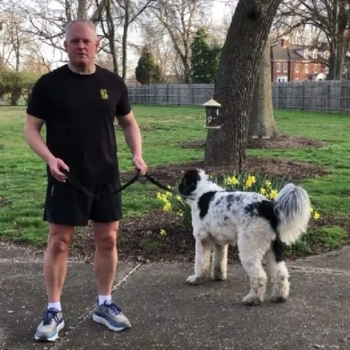 Bulb Photo On Jungo Live