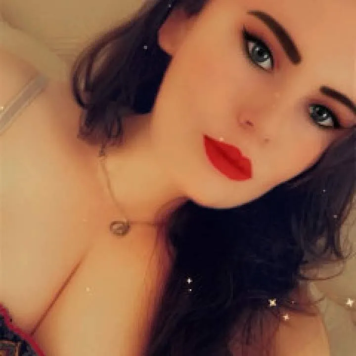 Little Kitten Photo On Jungo Live