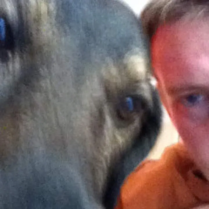 Tmelzer28 Photo On Jungo Live