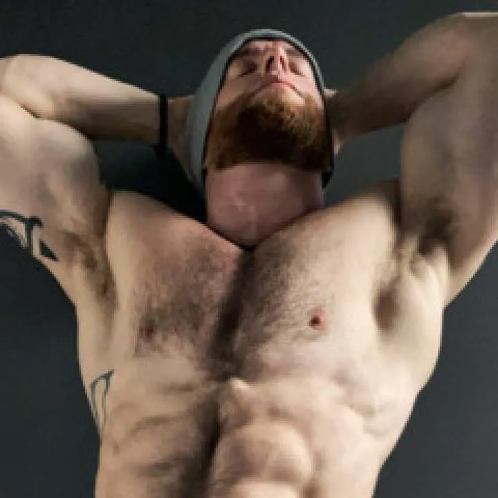 Brown Photo On Jungo Live