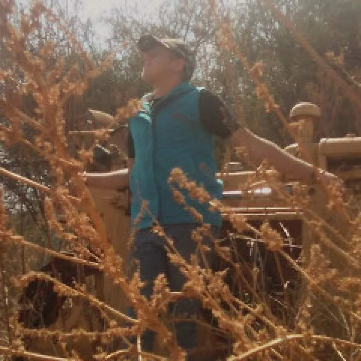 Jp Photo On Jungo Live