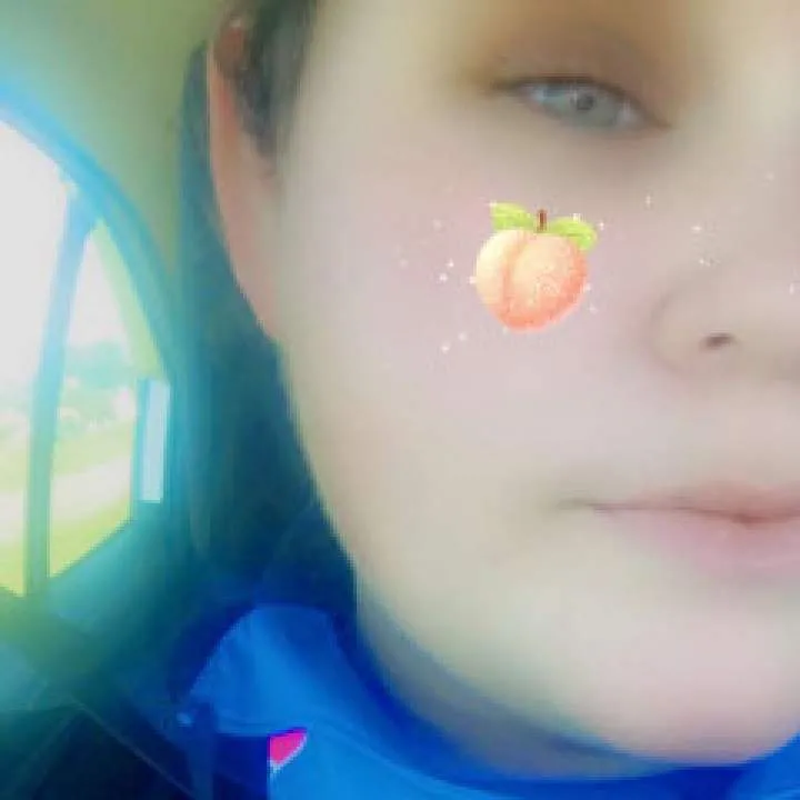 Kitten Photo On Jungo Live