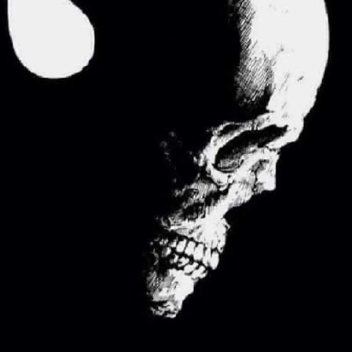 Nok Nok Photo On Jungo Live