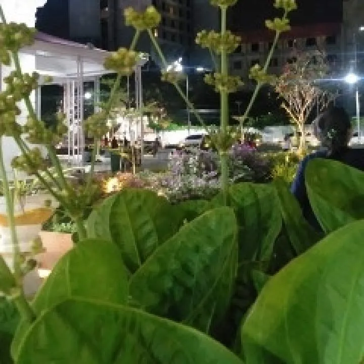 Putra Photo On Jungo Live