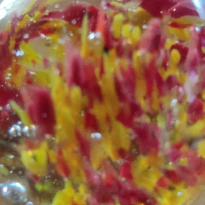 Duncan Boy Photo On Jungo Live