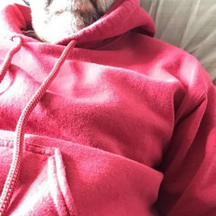 Jorge Photo On Jungo Live