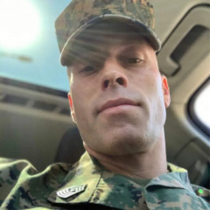 Bull02 Photo On Jungo Live