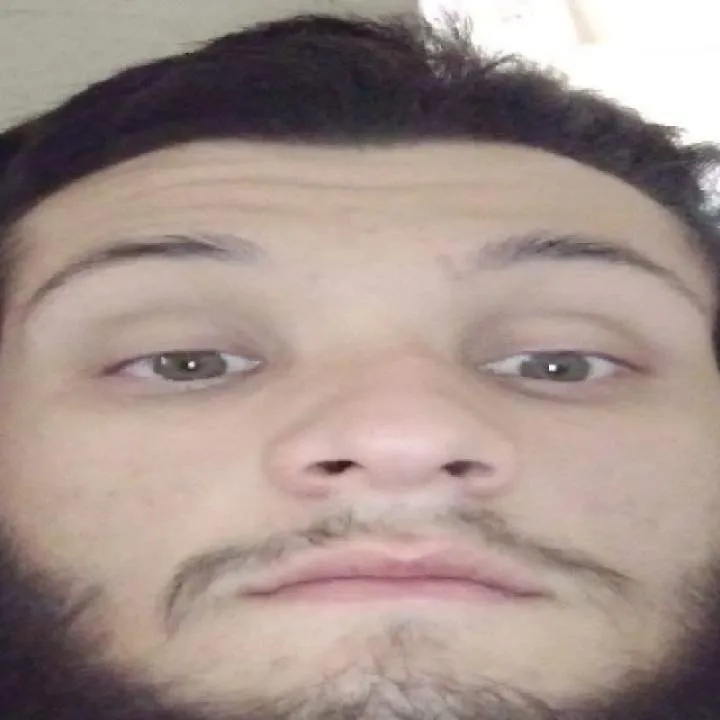 Hawk Photo On Jungo Live