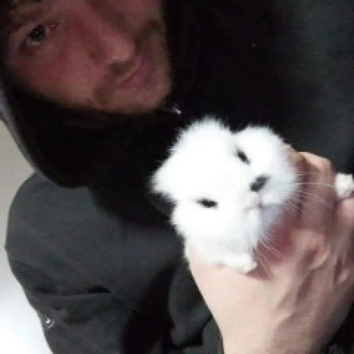 Luigi Photo On Jungo Live