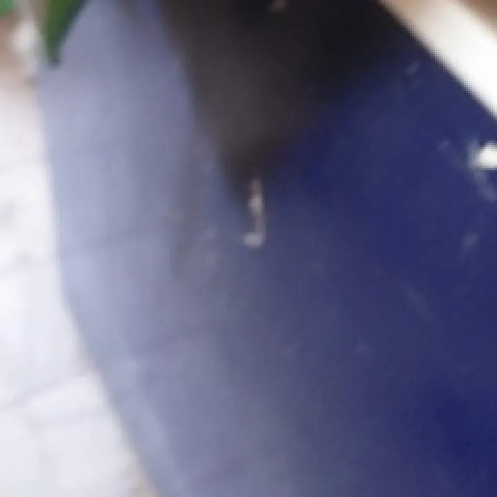 Rahul Photo On Jungo Live