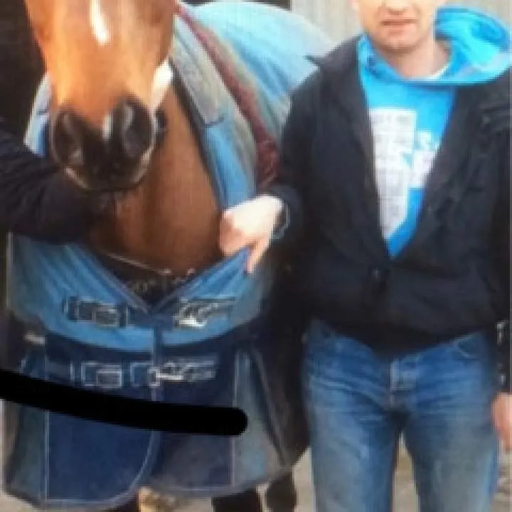 Bandit 1 Photo On Jungo Live