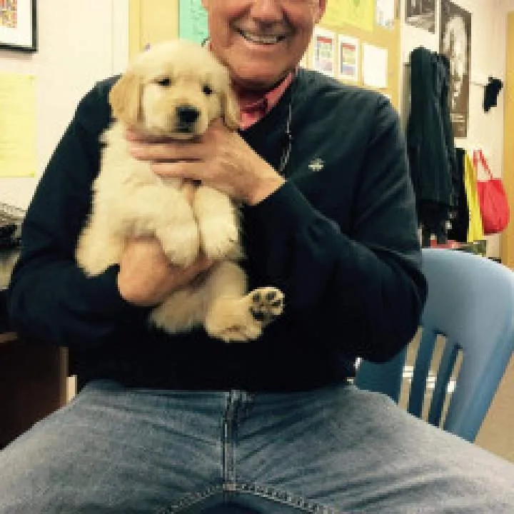 David Photo On Jungo Live