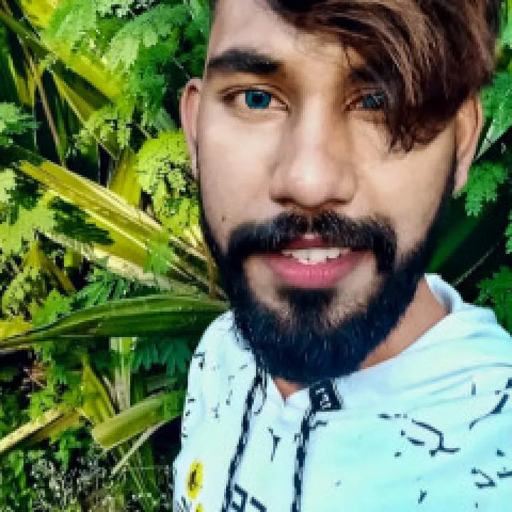 Mellifluous Photo On Jungo Live