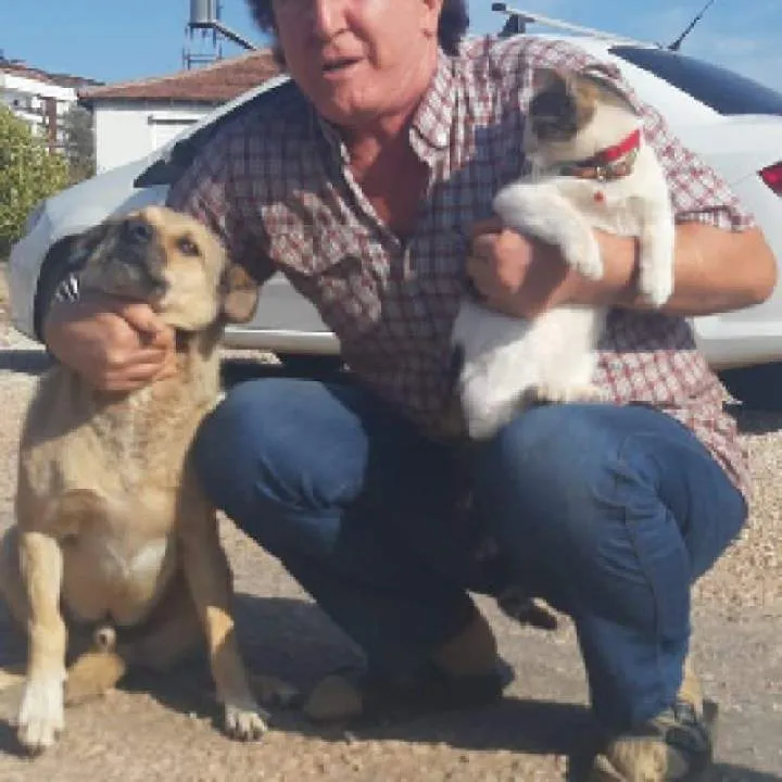 .... Photo On Jungo Live