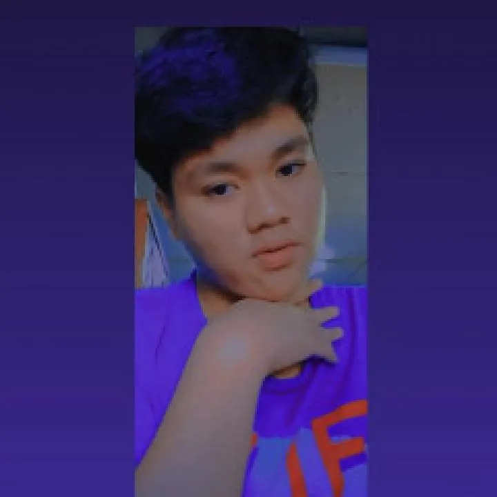 Rose Photo On Jungo Live