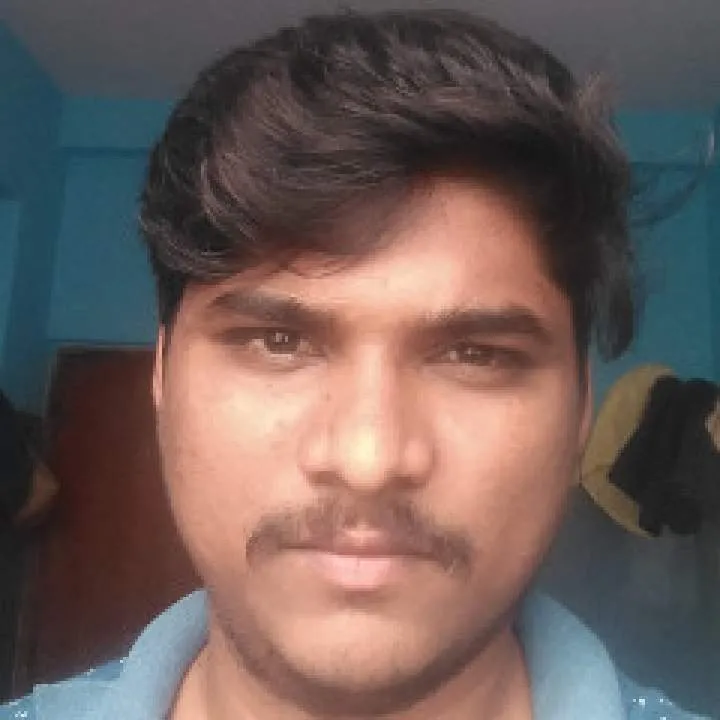 Honey Photo On Jungo Live