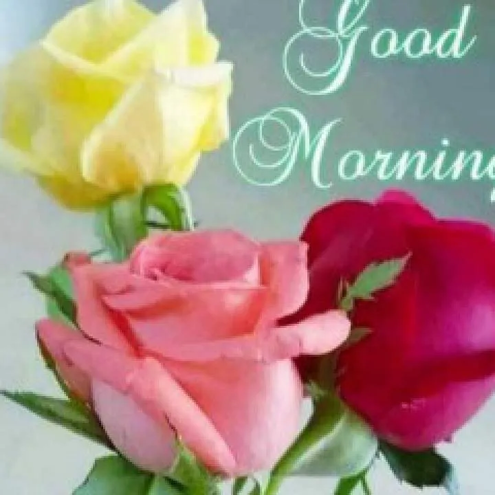 Sanny Photo On Jungo Live