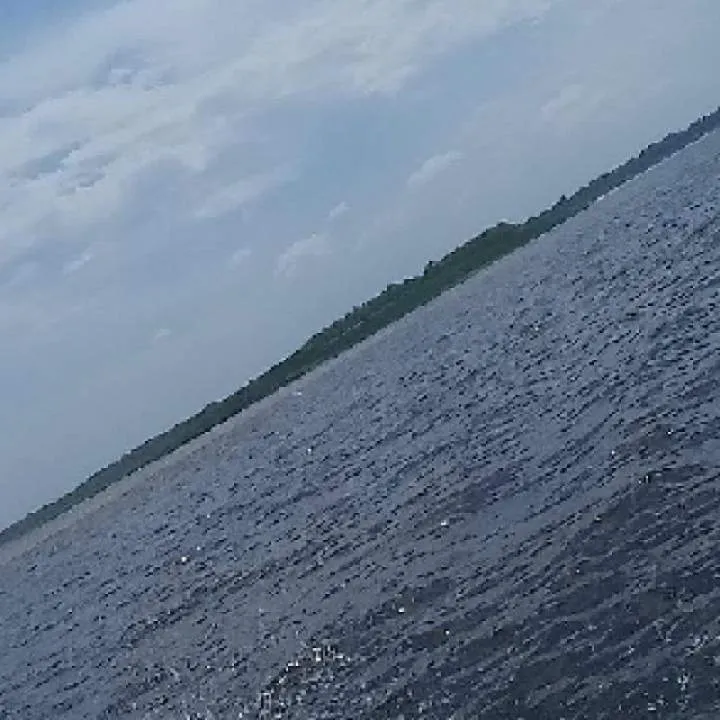 Miguel Photo On Jungo Live