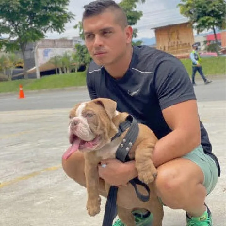 Wills Photo On Jungo Live