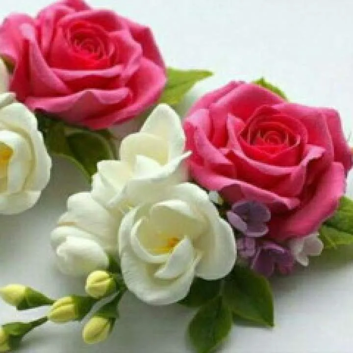 M.shaheen Photo On Jungo Live