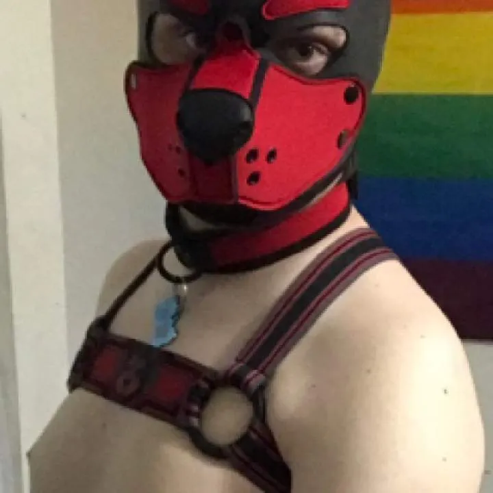 Zentaipup23 Photo On Jungo Live