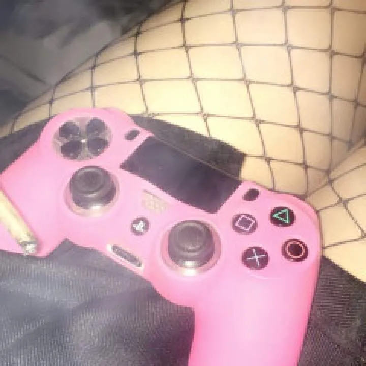 Kitten Photo On Jungo Live