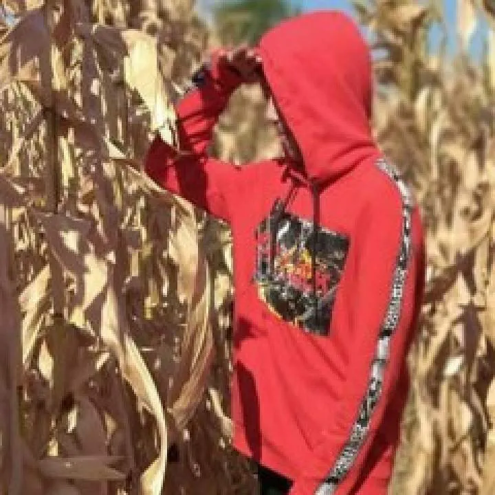 Catlin16 Photo On Jungo Live