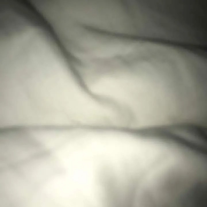 Olly.... Photo On Jungo Live