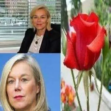 Sigrid........ Photo On Jungo Live