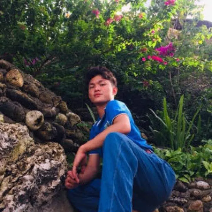 Brie Photo On Jungo Live