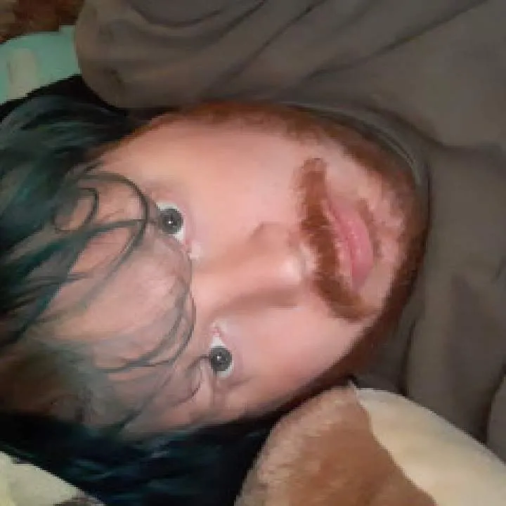 Beaver Photo On Jungo Live