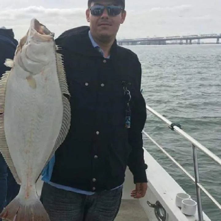 Johnnyakaet@gmail.com Photo On Jungo Live