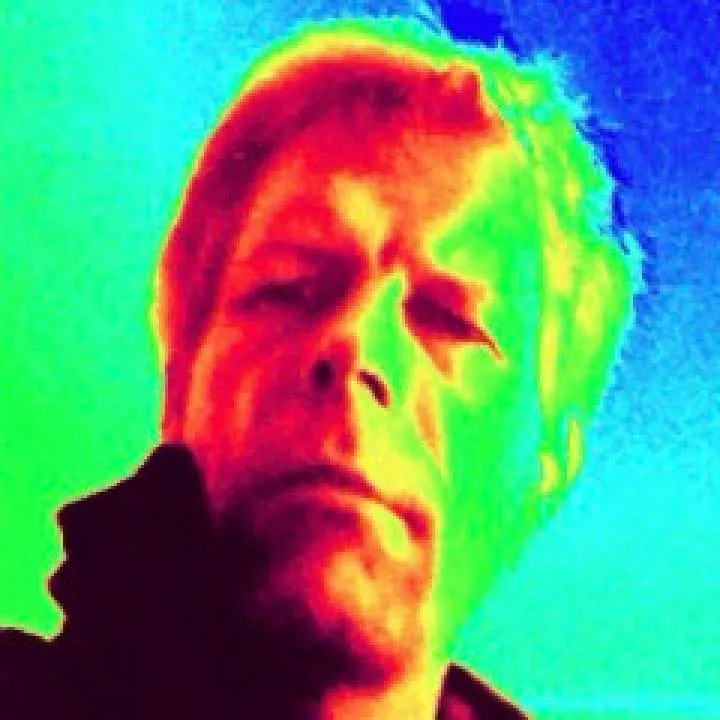 Henne Photo On Jungo Live