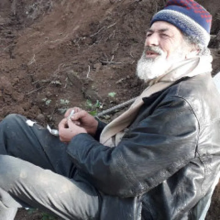 Sadique Photo On Jungo Live