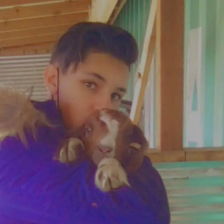 Sucker Photo On Jungo Live