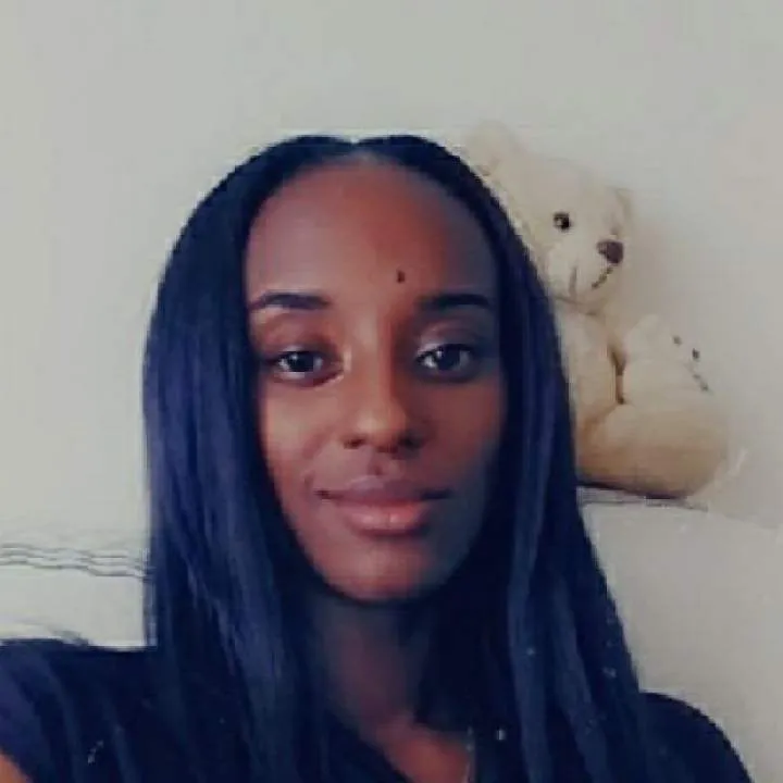 Kitten Photo On Jungo Live