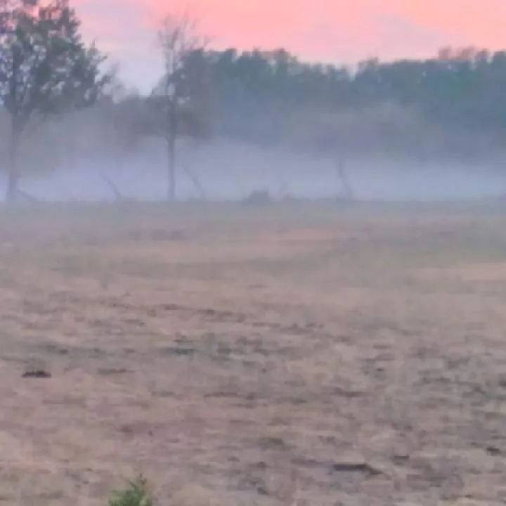 Lovespantyhose Photo On Jungo Live