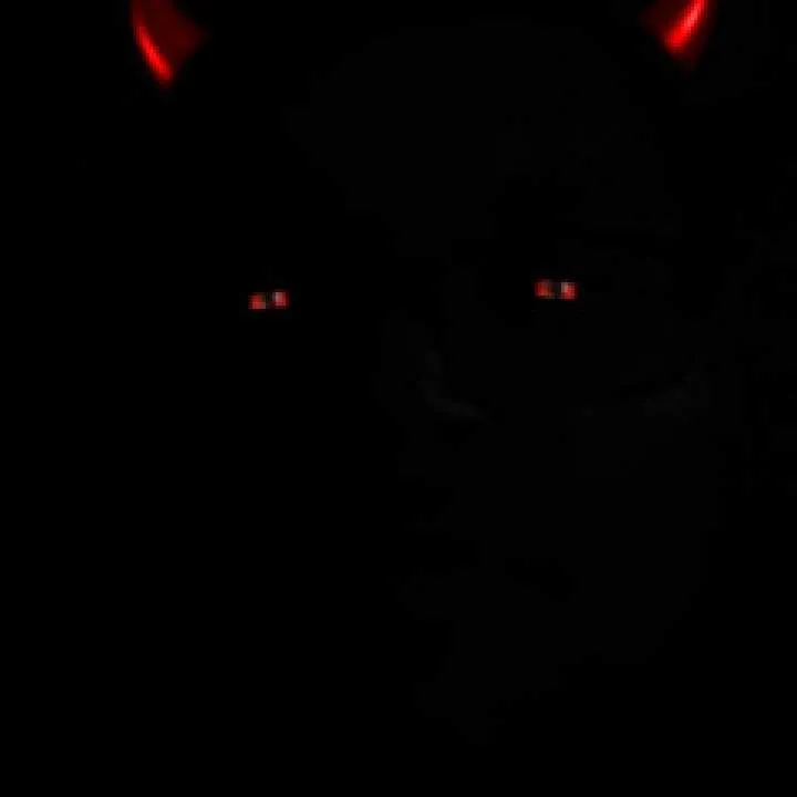 Prymetyme Photo On Jungo Live