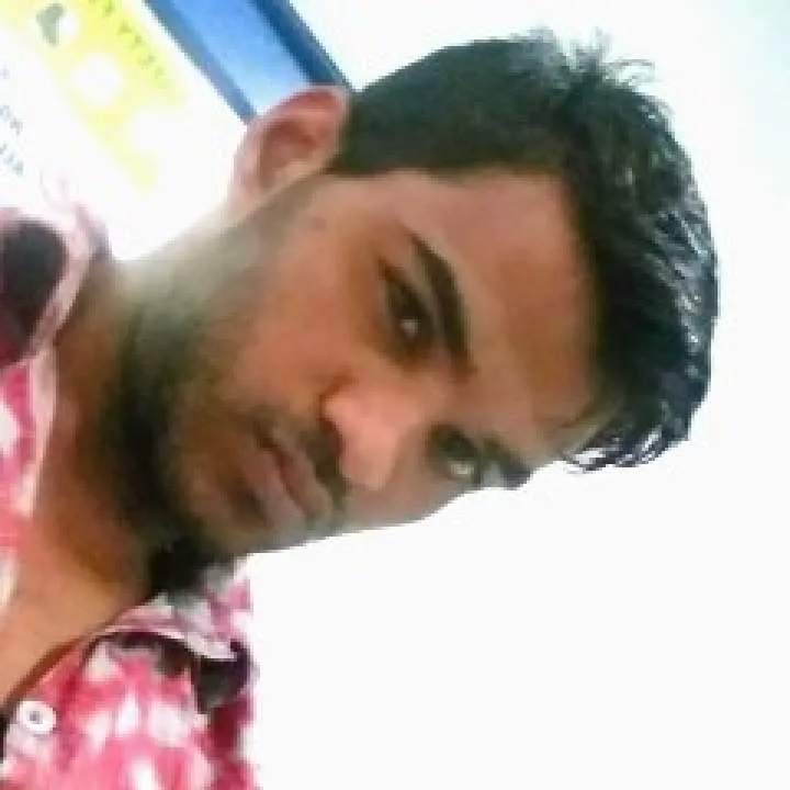 Bunny Photo On Jungo Live