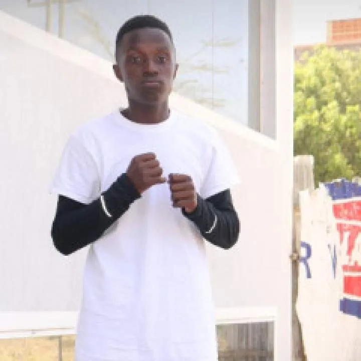 Stark Lantern Photo On Jungo Live